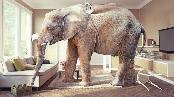 The Elephant in the Room Portfolio Construction and Systematic Risk