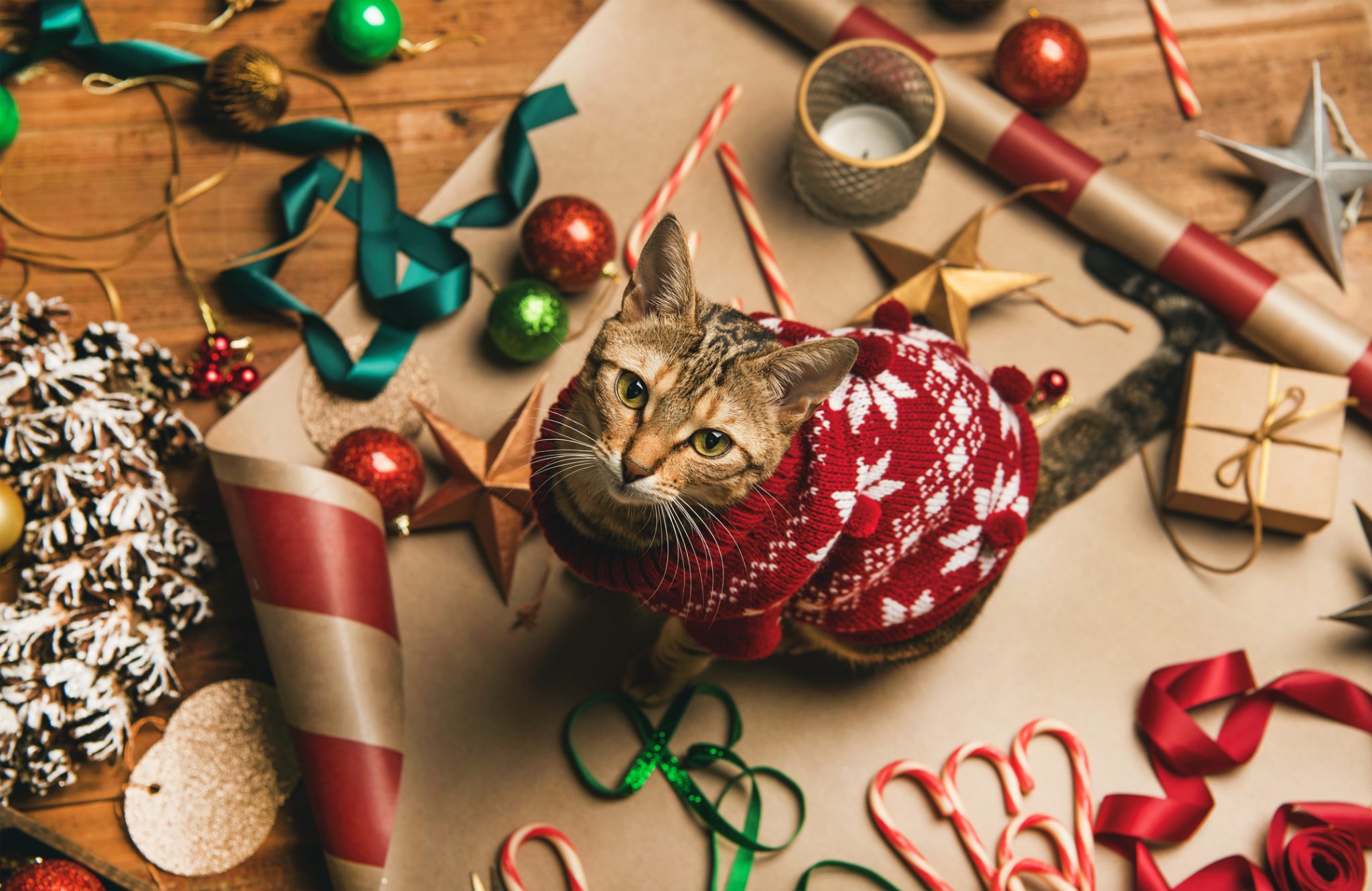 Gift Giving for Pets Could Boost “PAWZ” ETF This Christmas