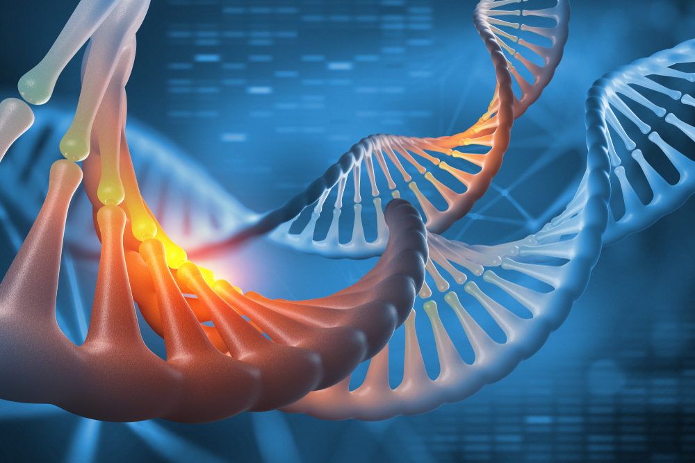 The Genomics Market is Poised for Growth Through 2025