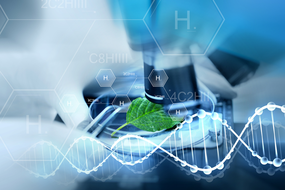 Small-Cap Biotechnology ETF Brings Big Opportunity