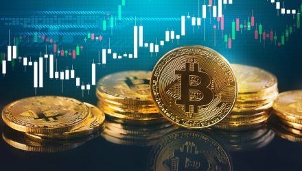 Bitcoin Buying Will Rise This Year, Says Survey