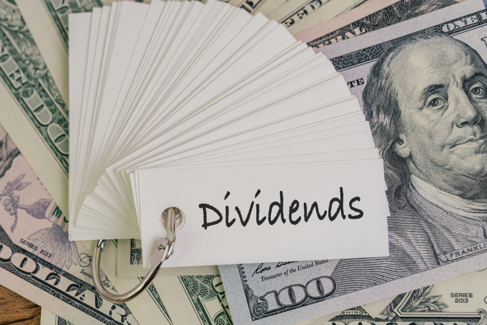 Dividends Are 2022 Difference Makers | ETF Trends