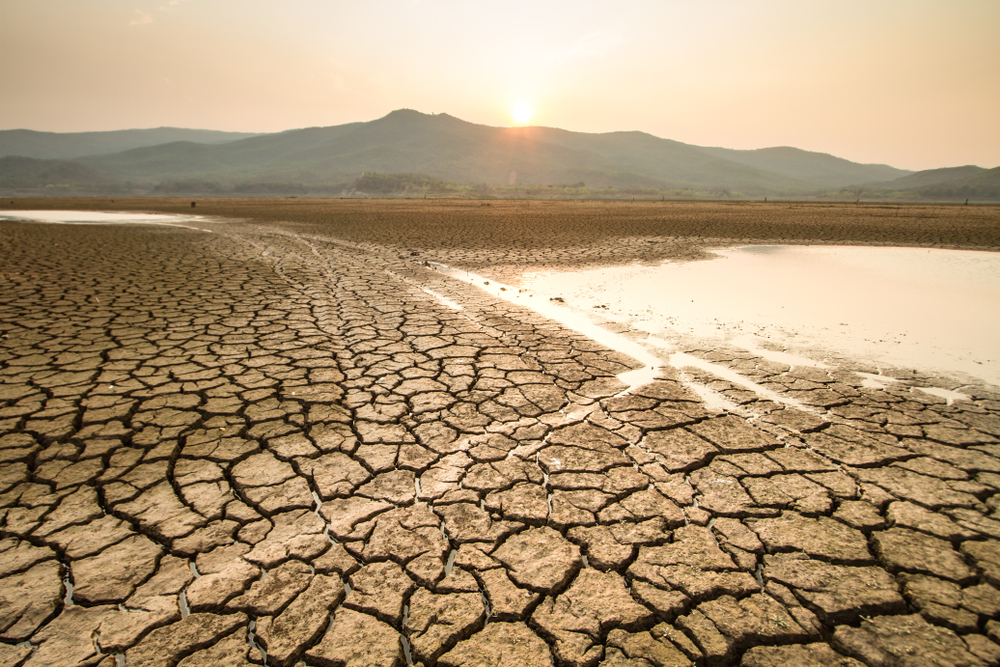 202,100+ Drought Stock Photos, Pictures & Royalty-Free Images - iStock |  Drought australia, Climate change, Water drought