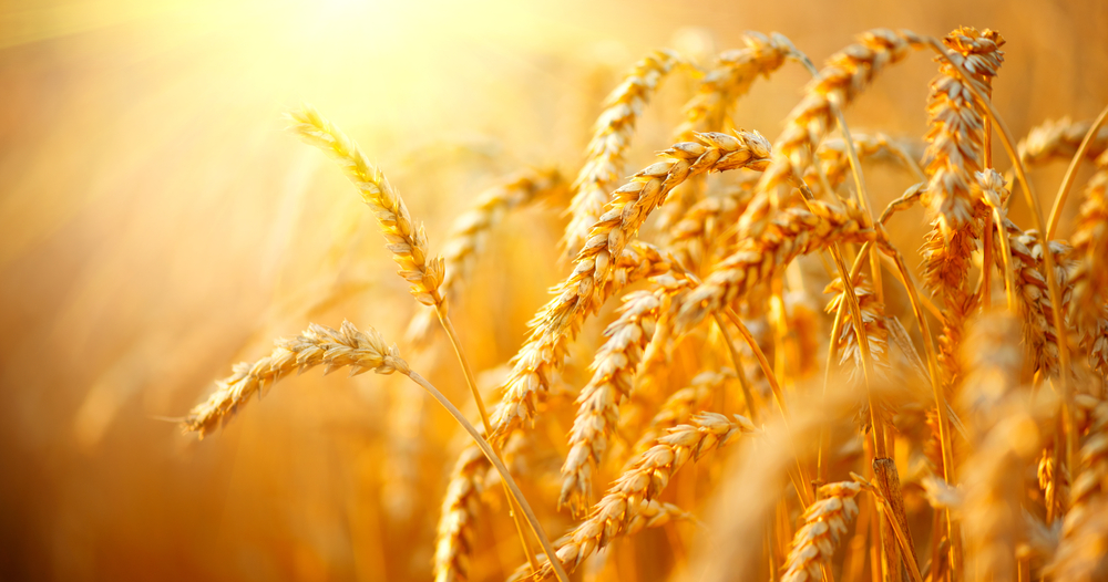 Agricultural commodities can add stability in recessions