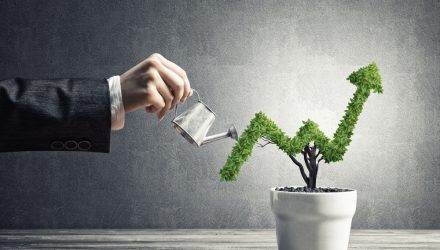 The Patient Art of Focused Growth Investing