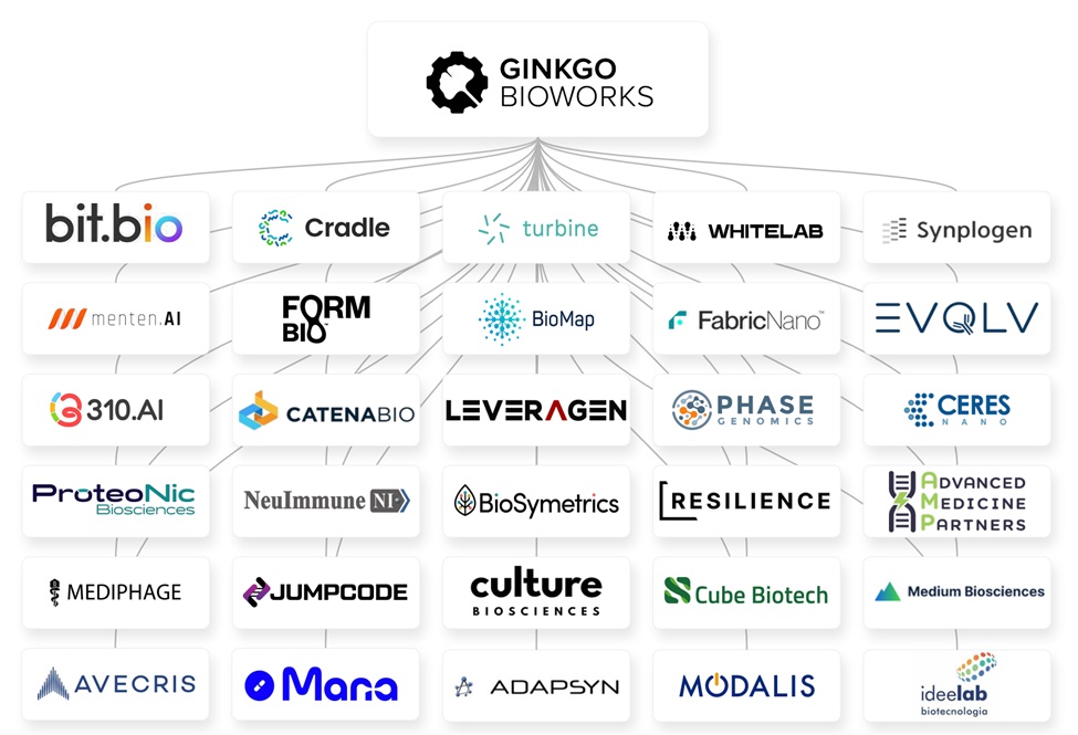 Innovation at Scale: Ginkgo Bioworks' Approach to Revolutionizing ...