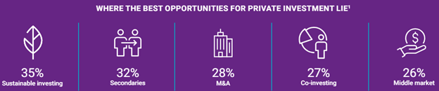 An infographic of the breakdown of top private asset opportunities in 2024. 