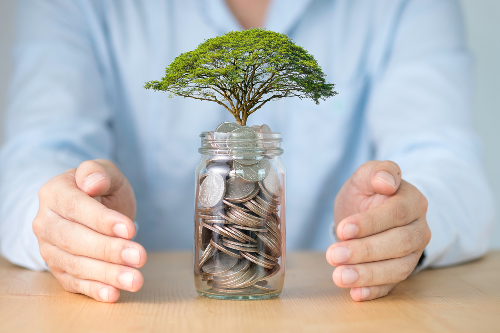 The new Twin Oak Option ETF seeks capital appreciation