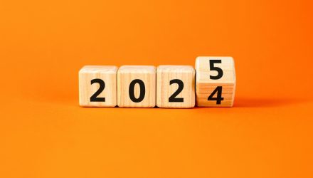 2024 Is Over—What Are We Seeing for 2025?